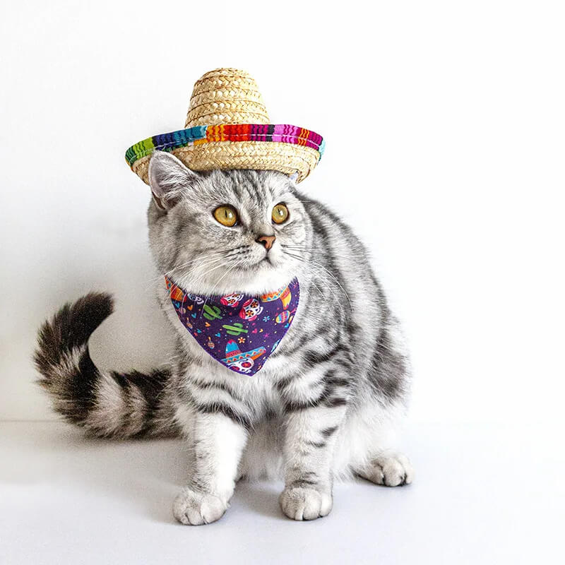 Chapéu de Palha Para Cães e Gatos