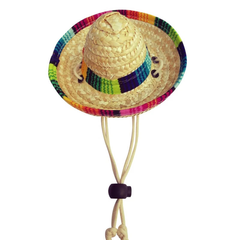 Chapéu de Palha Para Cães e Gatos
