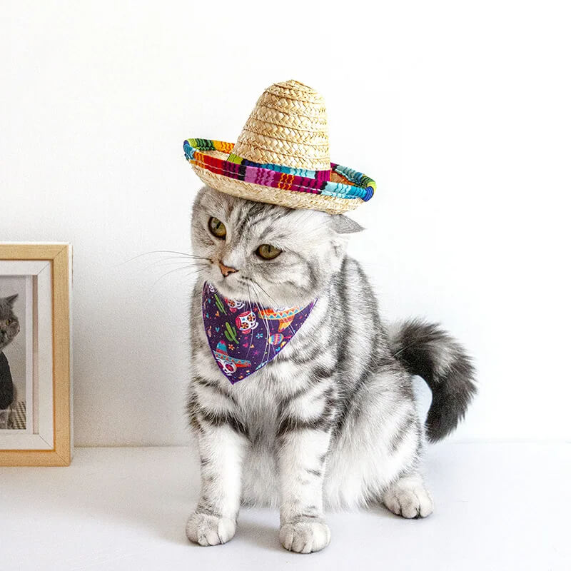 Chapéu de Palha Para Cães e Gatos
