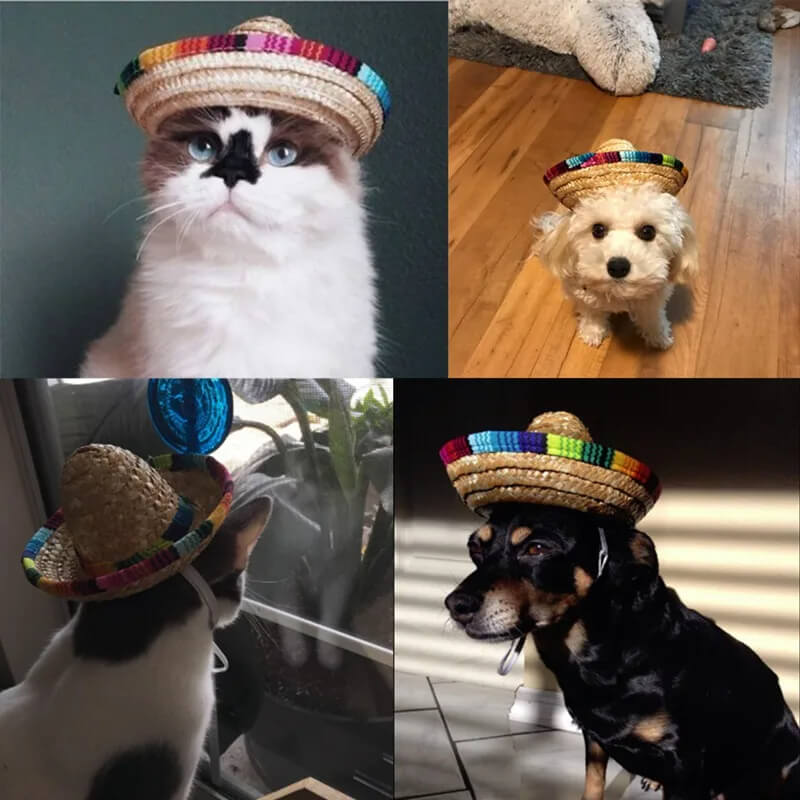 Chapéu de Palha Para Cães e Gatos