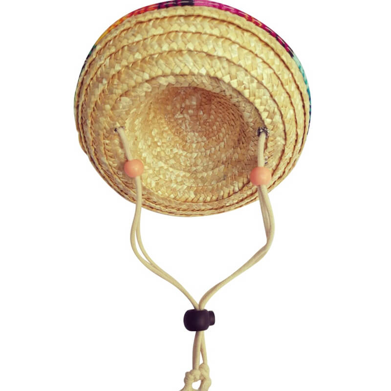 Chapéu de Palha Para Cães e Gatos