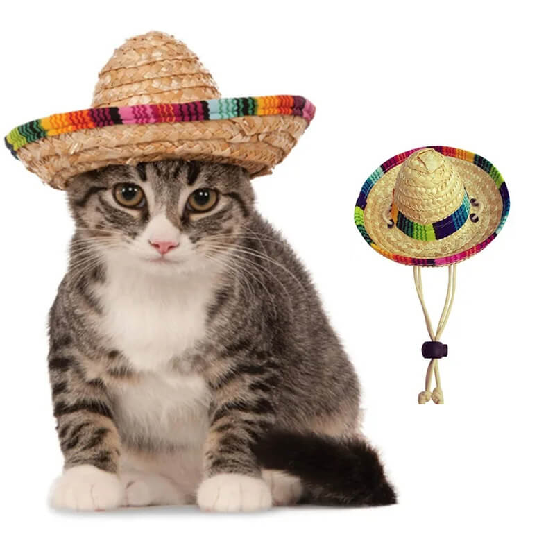 Chapéu de Palha Para Cães e Gatos