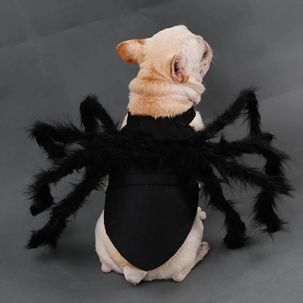 Fantasia de Aranha Para Cães e Gatos