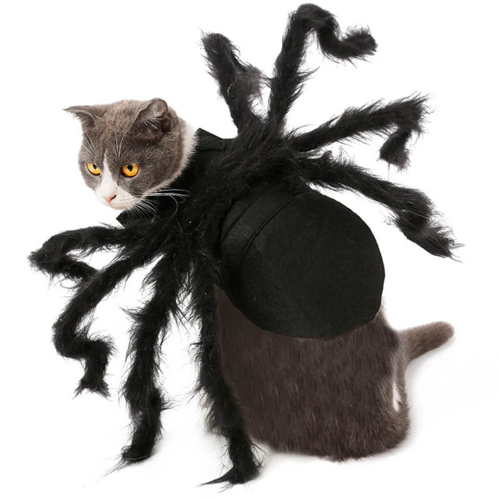 Fantasia de Aranha Para Cães e Gatos