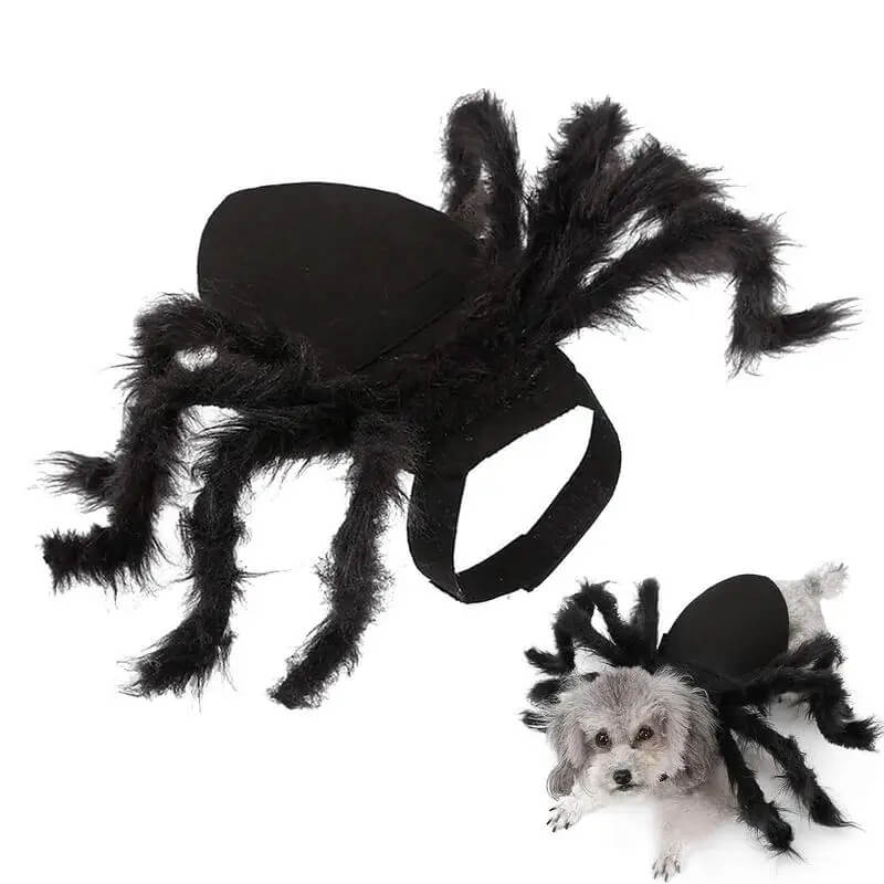 Fantasia de Aranha Para Cães e Gatos