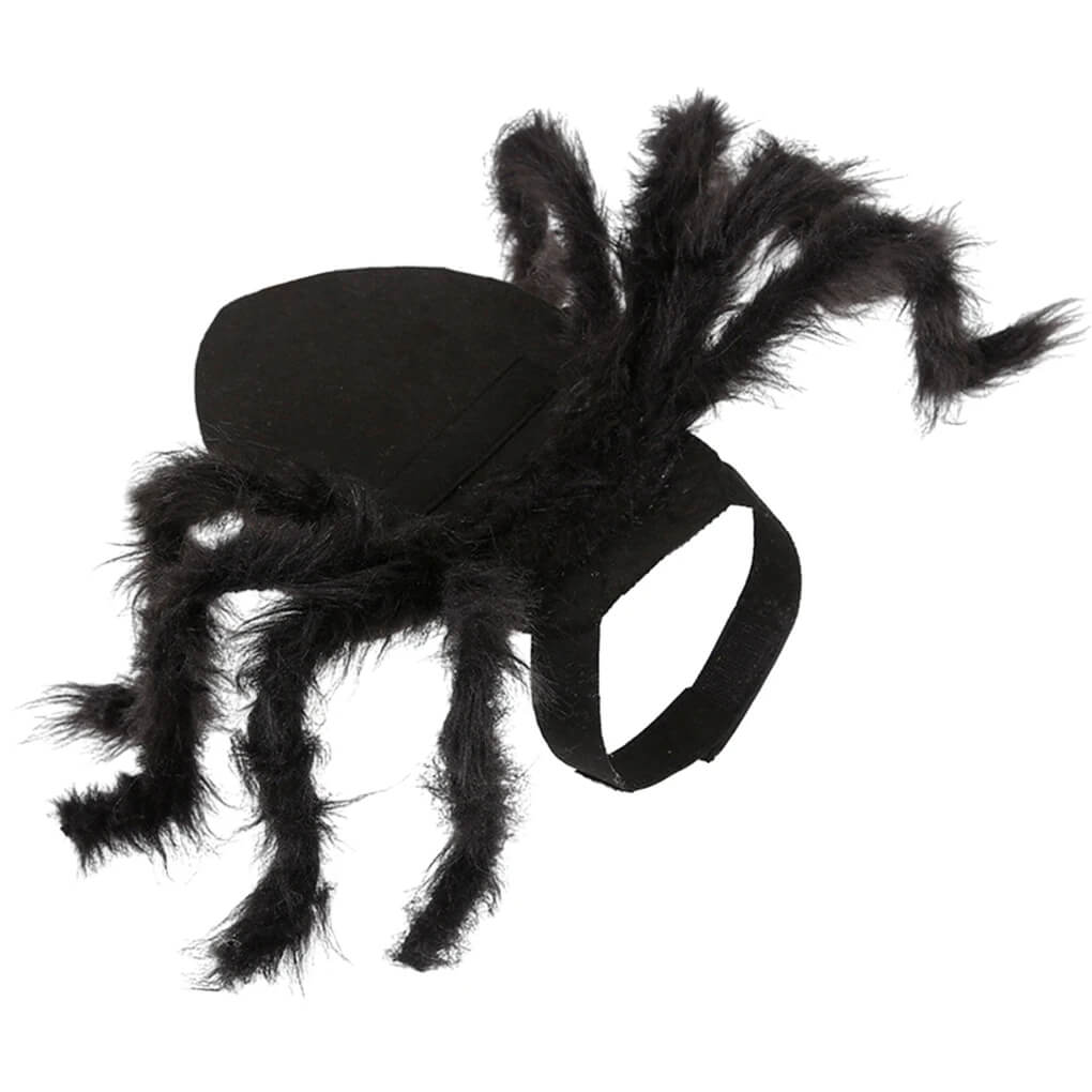 Fantasia de Aranha Para Cães e Gatos