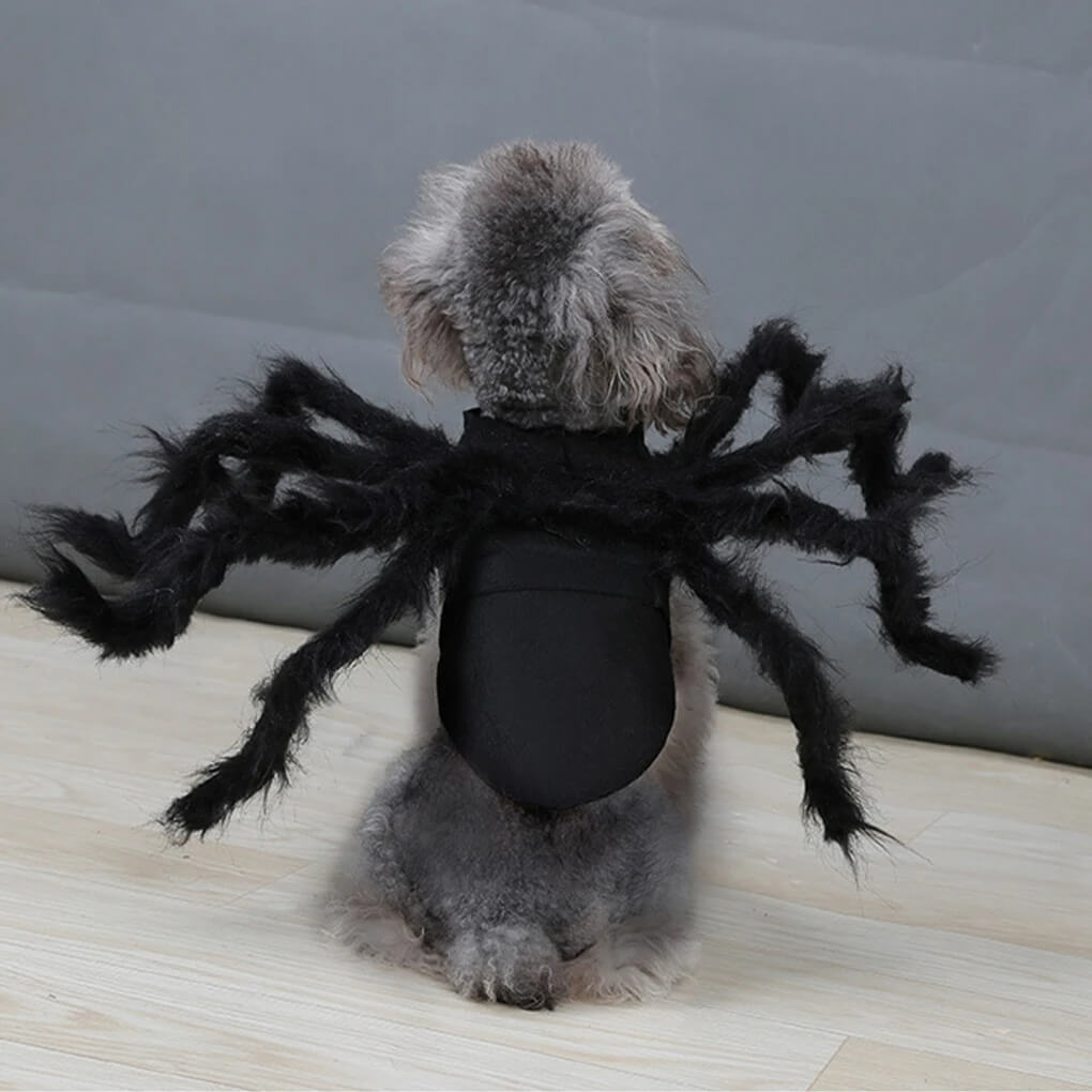 Fantasia de Aranha Para Cães e Gatos