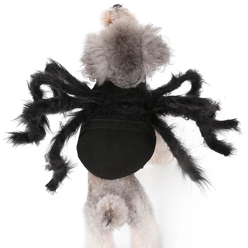 Fantasia de Aranha Para Cães e Gatos