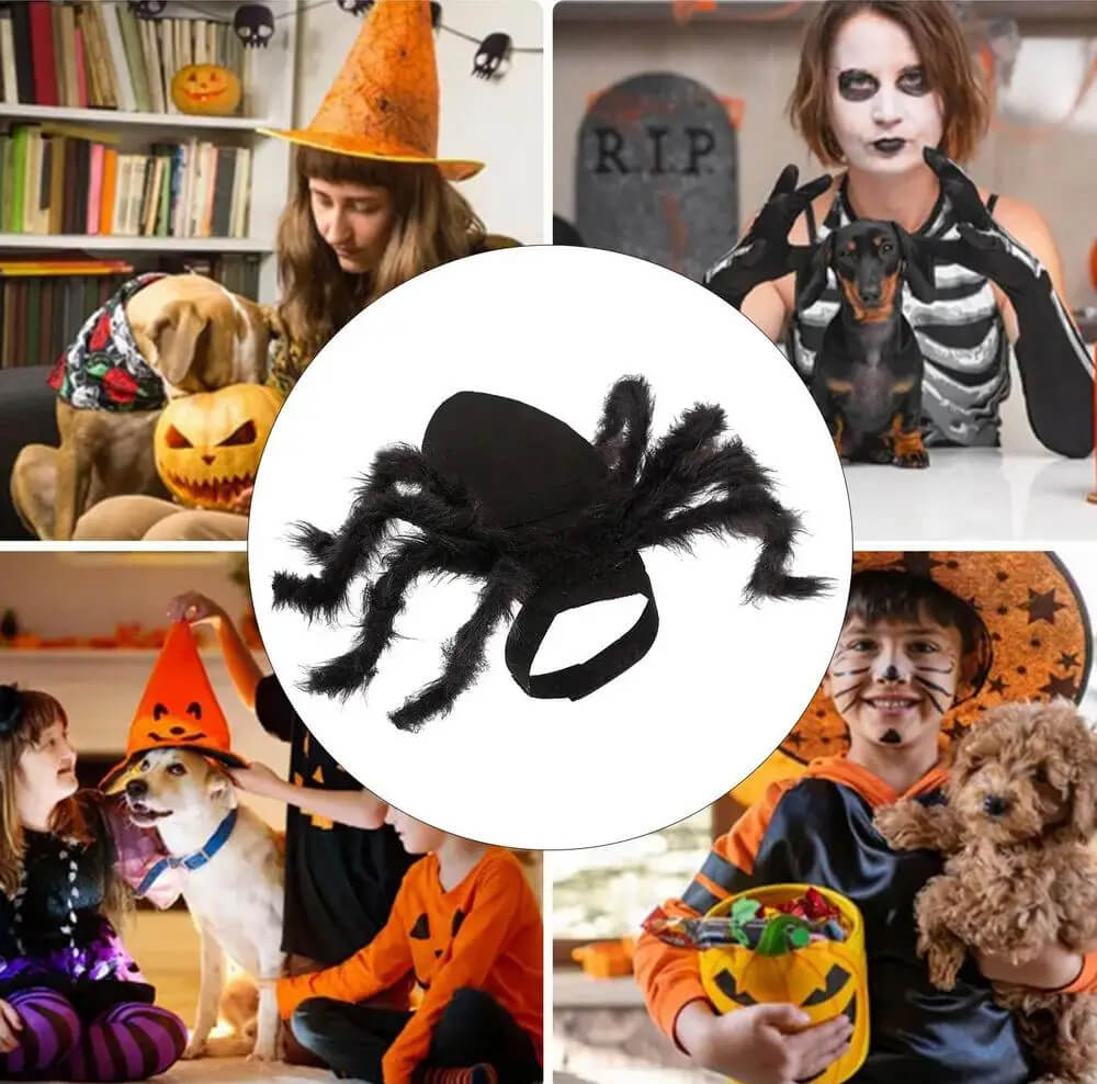 Fantasia de Aranha Para Cães e Gatos