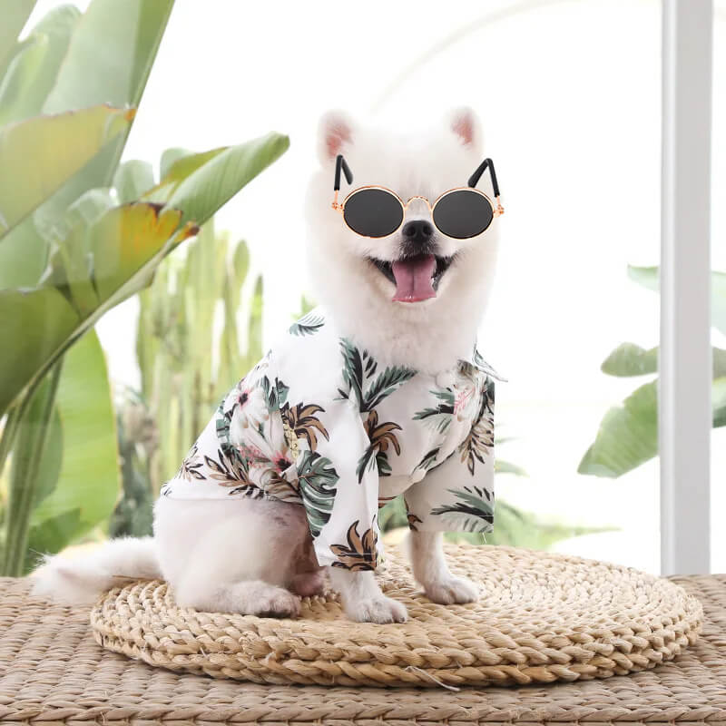 Fantasia de Havaiano Para Cães e Gatos - Camisa Florida e Óculos Escuros