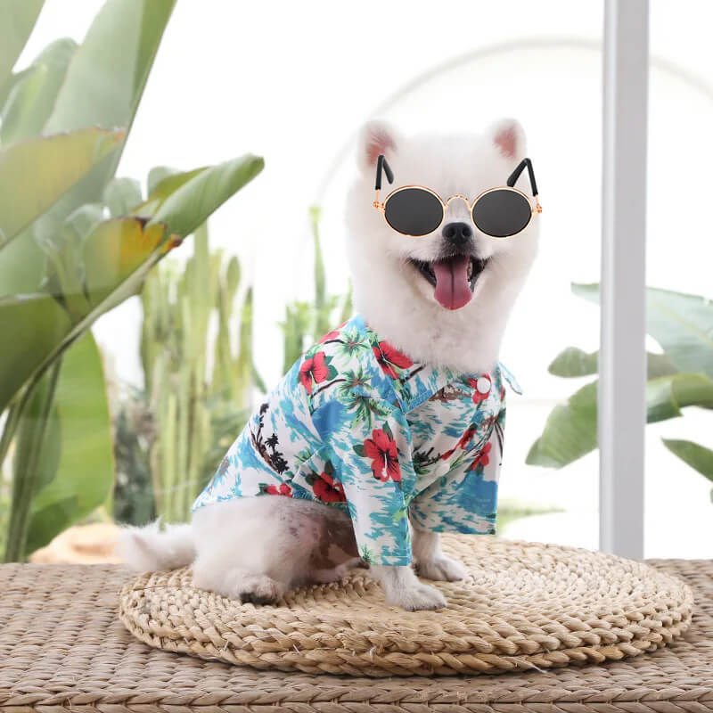 Fantasia de Havaiano Para Cães e Gatos - Camisa Florida e Óculos Escuros