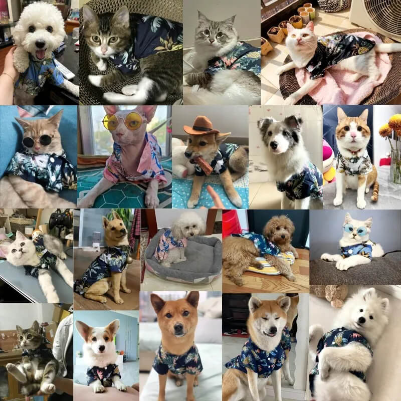 Fantasia de Havaiano Para Cães e Gatos - Camisa Florida e Óculos Escuros