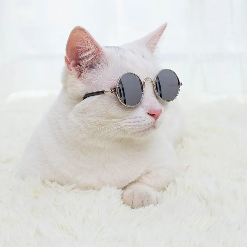 Fantasia de Havaiano Para Cães e Gatos - Camisa Florida e Óculos Escuros