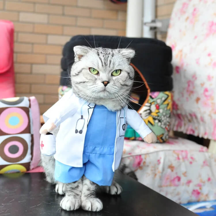Fantasia de Médico Para Cães e Gatos