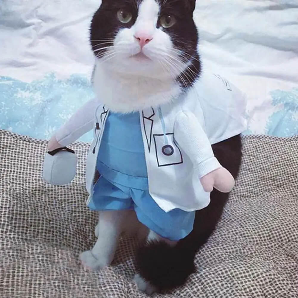 Fantasia de Médico Para Cães e Gatos