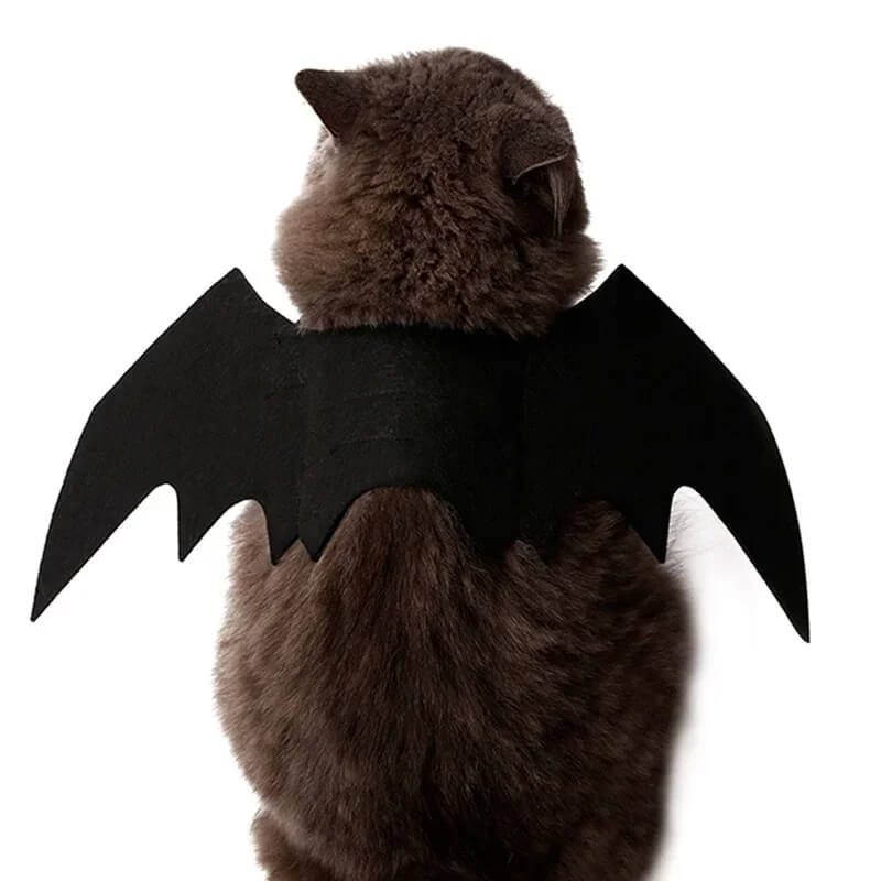 Fantasia de Morcego Para Cães e Gatos