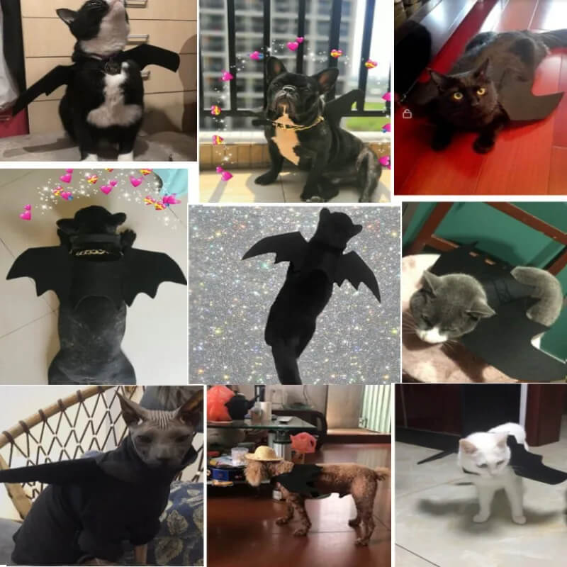 Fantasia de Morcego Para Cães e Gatos