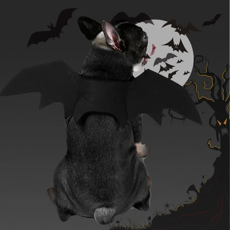Fantasia de Morcego Para Cães e Gatos