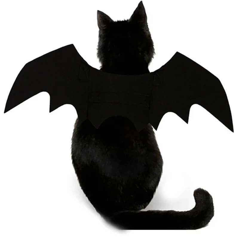 Fantasia de Morcego Para Cães e Gatos