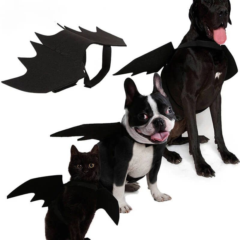 Fantasia de Morcego Para Cães e Gatos