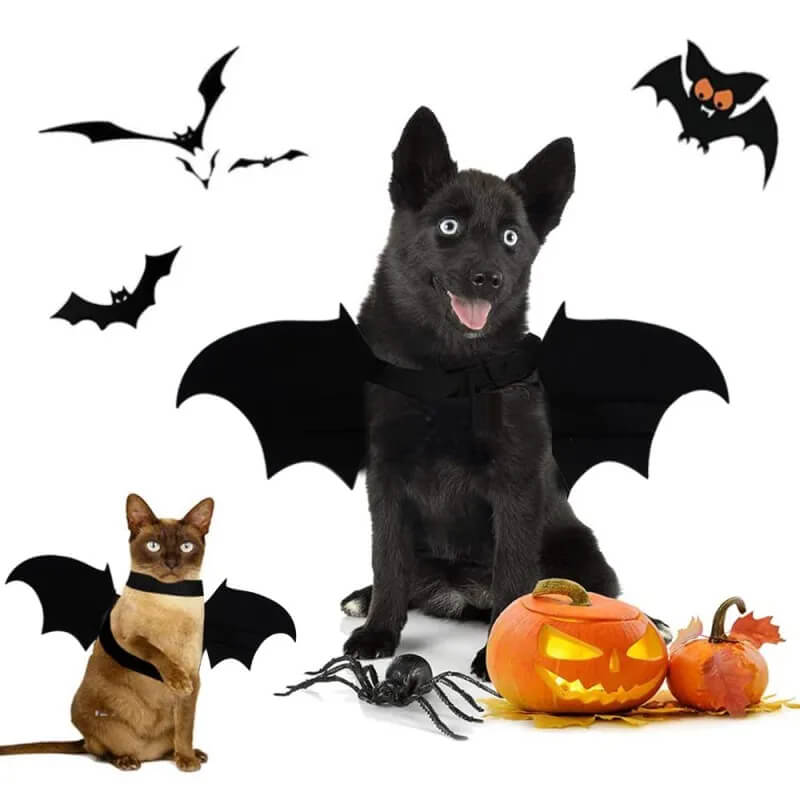 Fantasia de Morcego Para Cães e Gatos