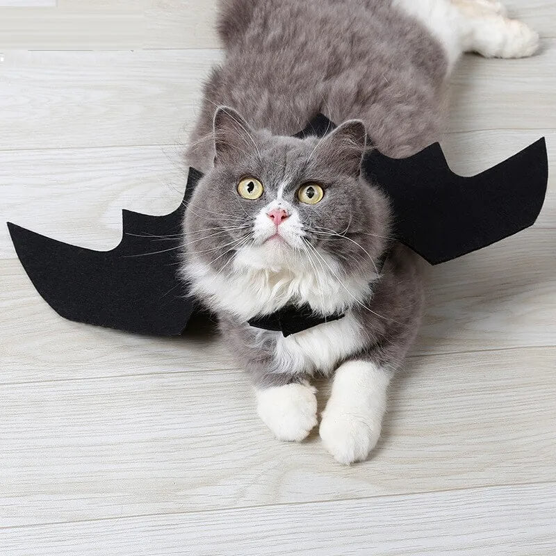 Fantasia de Morcego Para Cães e Gatos