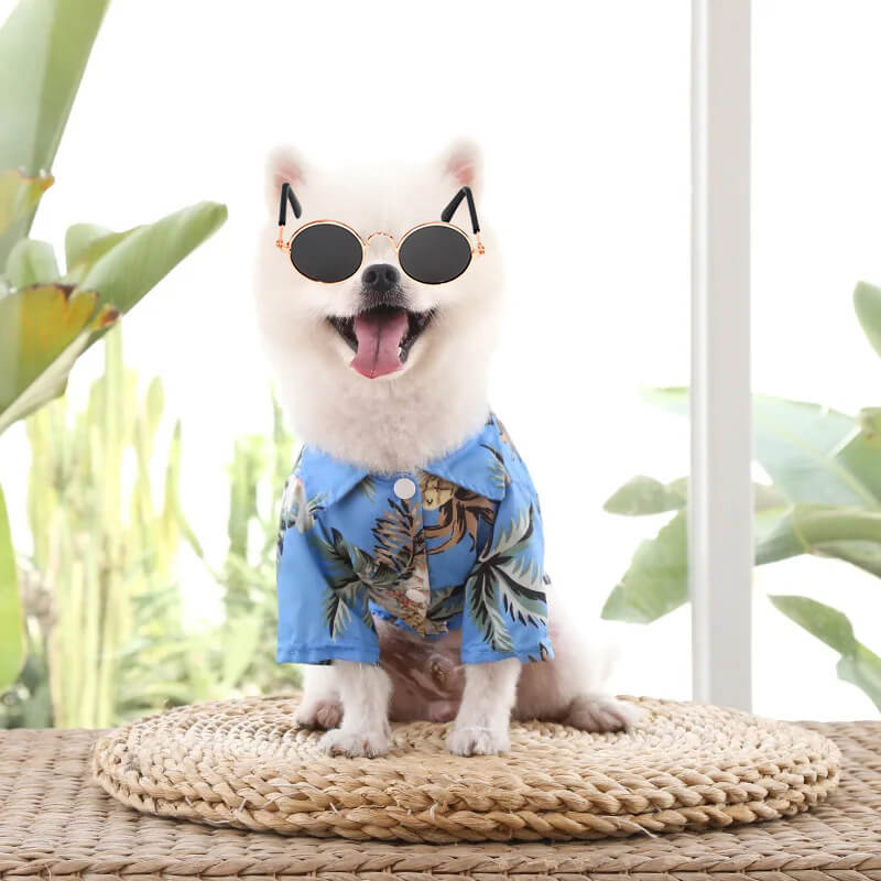 Fantasia de Havaiano Para Cães e Gatos - Camisa Florida e Óculos Escuros