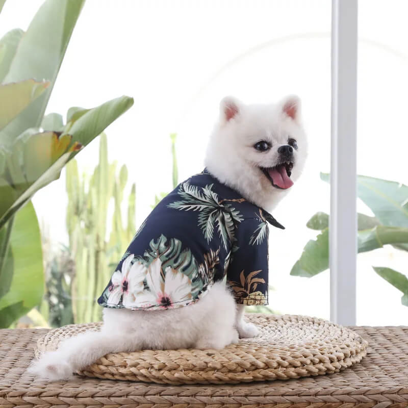 Fantasia de Havaiano Para Cães e Gatos - Camisa Florida e Óculos Escuros