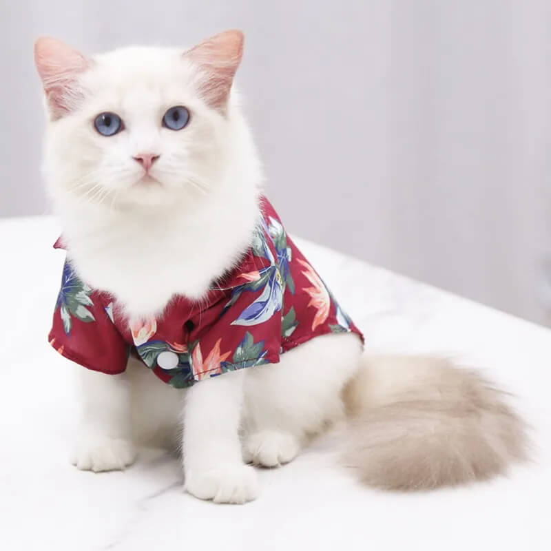 Fantasia de Havaiano Para Cães e Gatos - Camisa Florida e Óculos Escuros