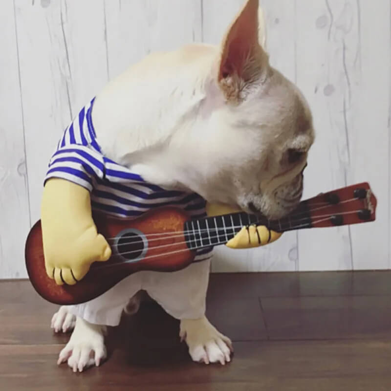 Fantasia Tocando Violão Para Cães e Gatos