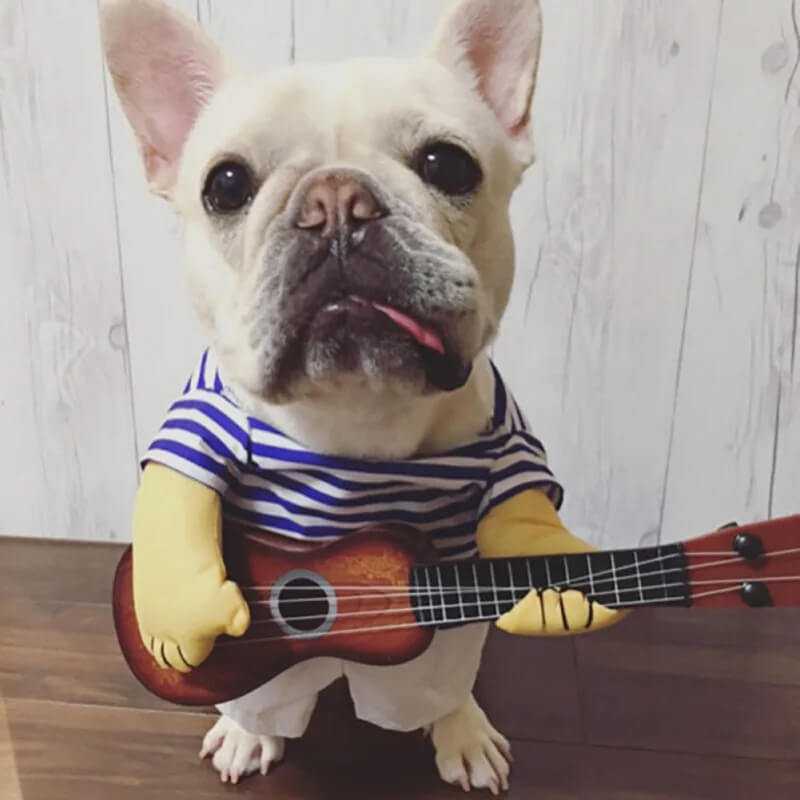 Fantasia Tocando Violão Para Cães e Gatos