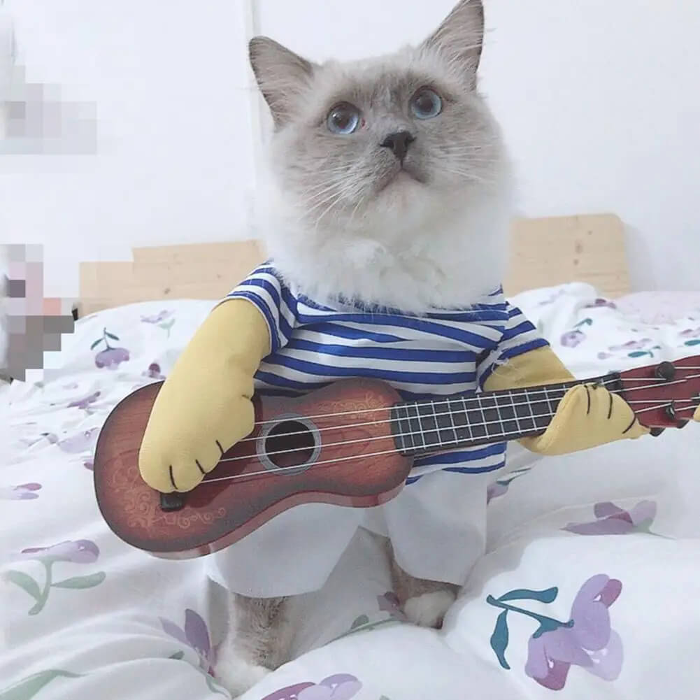 Fantasia Tocando Violão Para Cães e Gatos