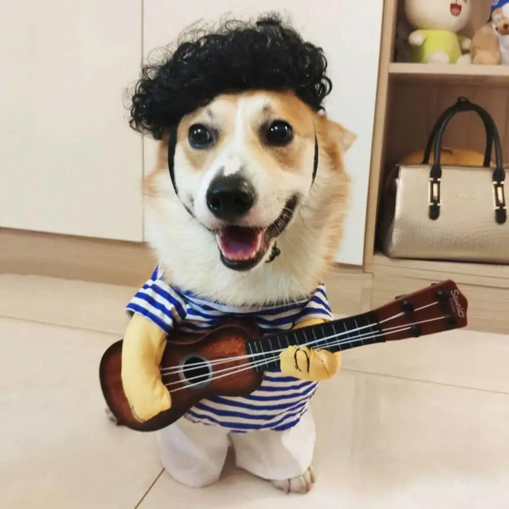 Fantasia Tocando Violão Para Cães e Gatos