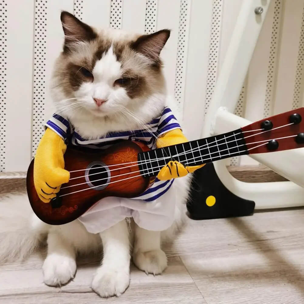 Fantasia Tocando Violão Para Cães e Gatos