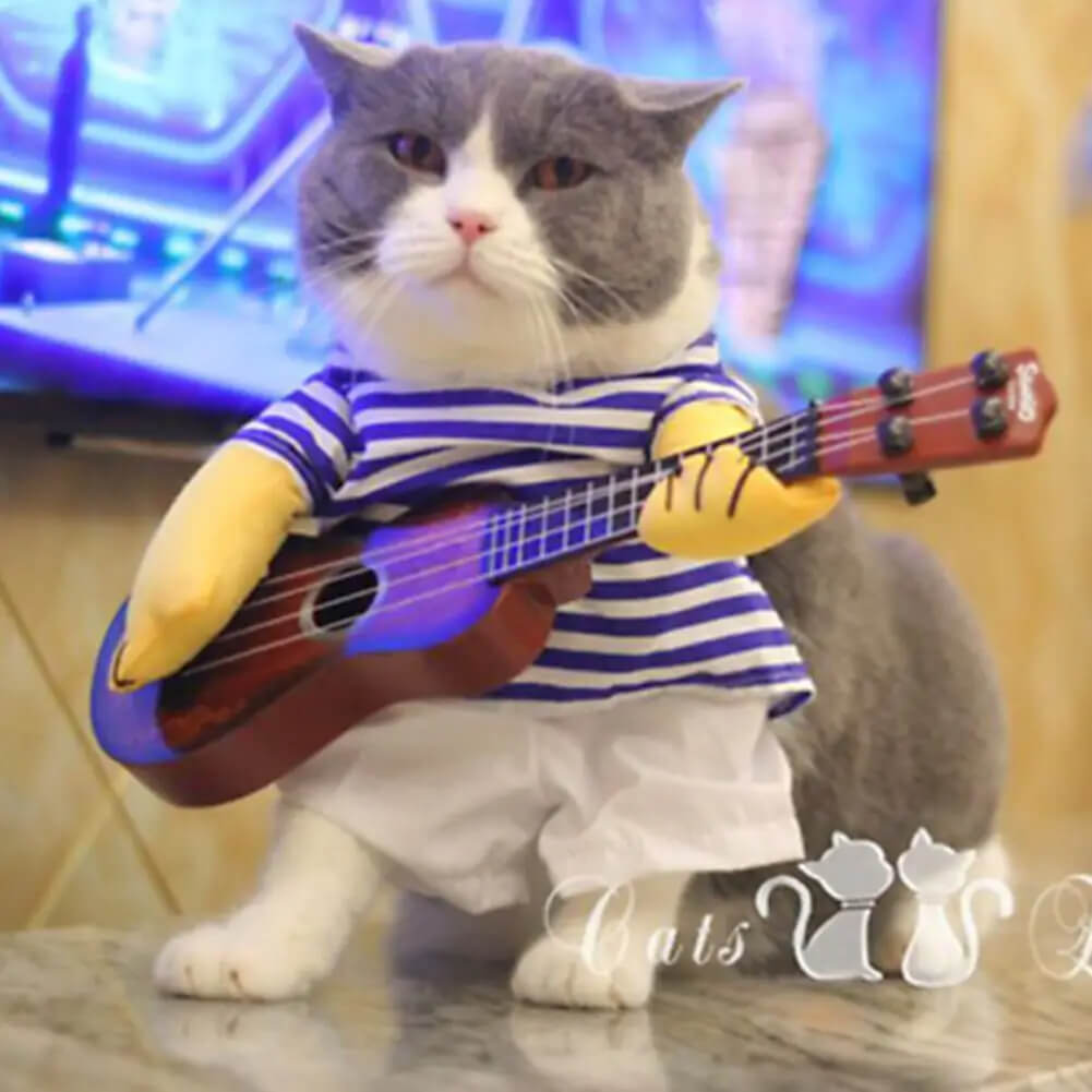 Fantasia Tocando Violão Para Cães e Gatos