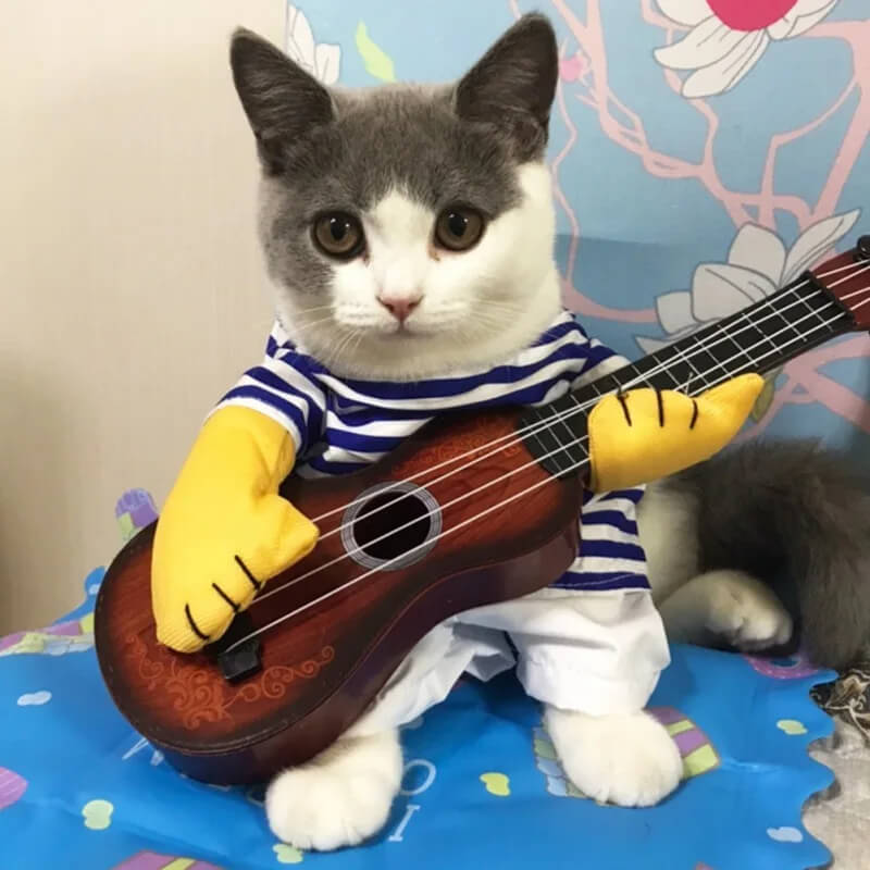 Fantasia Tocando Violão Para Cães e Gatos