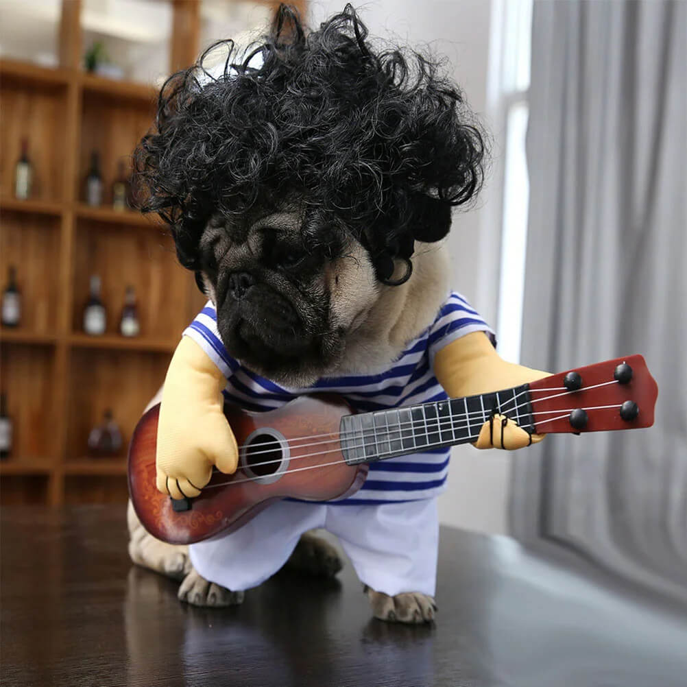 Fantasia Tocando Violão Para Cães e Gatos