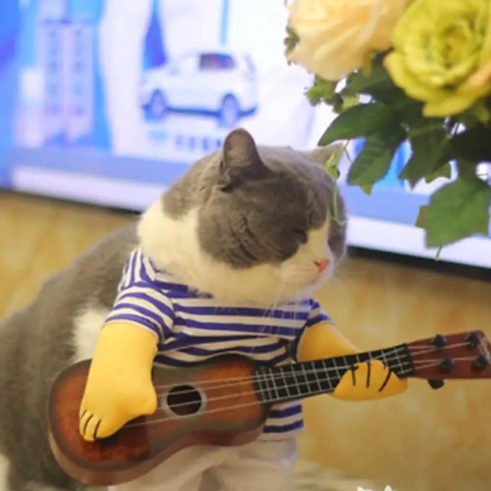 Fantasia Tocando Violão Para Cães e Gatos