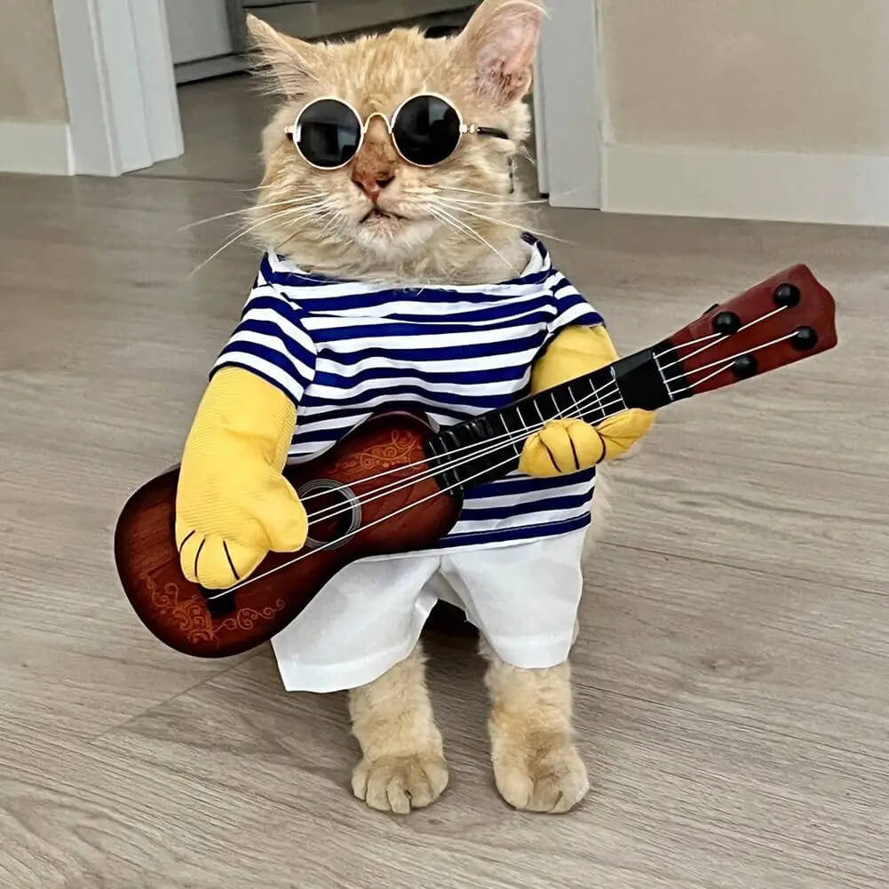 Fantasia Tocando Violão Para Cães e Gatos