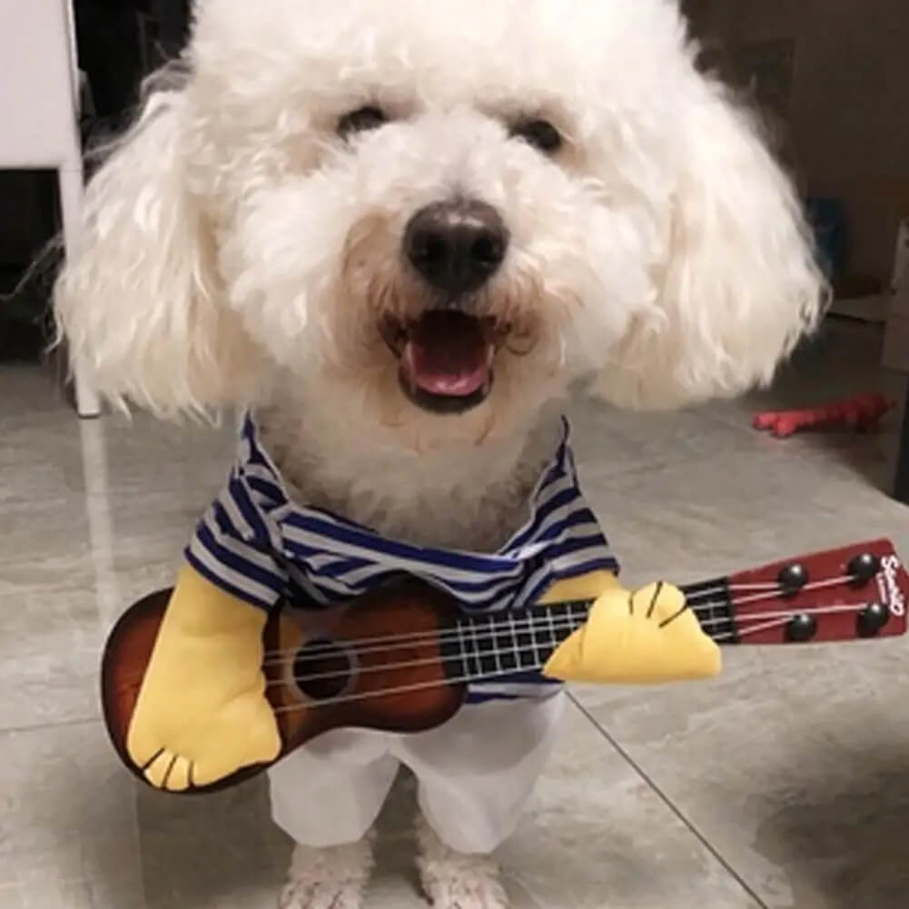 Fantasia Tocando Violão Para Cães e Gatos