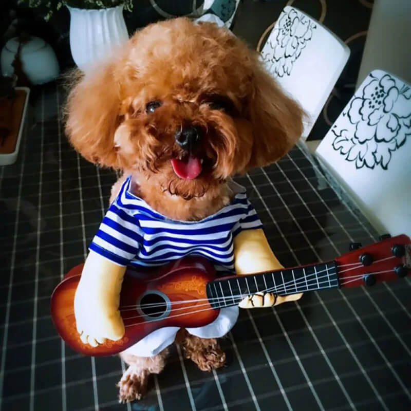 Fantasia Tocando Violão Para Cães e Gatos